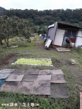 新北市淡水區北投子土地I農牧用地 新北市淡水區北投子土地I農牧用地