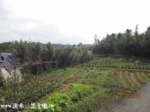 新北市三芝區大片頭土地農牧用地 新北市三芝區大片頭土地農牧用地